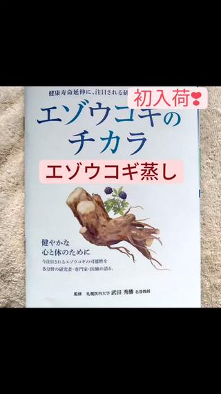 初入荷しましたエゾウコギ蒸し。ストレス緩和、睡眠の質向上、疲労回復などなど健康的な身体へ導きます 