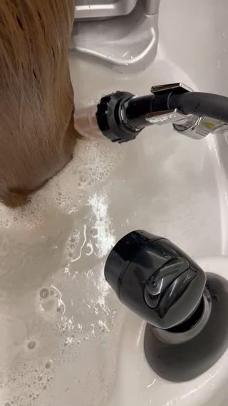 抜け毛、薄毛、パサつき、白髪などの髪トラブルは、過剰な活性酸素による髪の酸化が原因です

活性酸素の原因は様々ですが、パーマやカラーの後に残る残留過酸化水素からも発生します。

高濃度水素を含むマイクロナノバブルシャワーで、髪と頭皮をクレンジングして汚れや残留過酸化水素を除去し美しく健康な状態を作り出してくれます

普段取れきれない汚れや残留をなくして本来の素の髪に近い状態を作ってくれるから柔らかく艶のある髪に仕上がります 