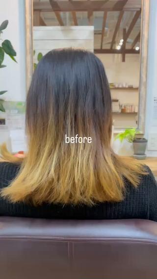 バッサリbef→af 