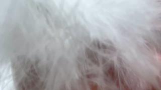 #白グラデーション 