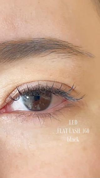 LEDエクステ/マツエク

FLATLASH 160本

black

Miss eye d'or
目頭〜黒目上　C10mm
目尻 JC10mm

︎
約4層のまつ毛を1本1本見極めて
お付けしています。

︎
持続力に自信があります♡
120本付けて
４週間後
残り本数の平均40〜80本 