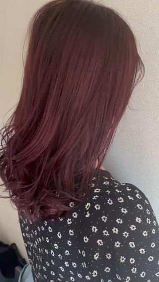 ピンクラベンダー 