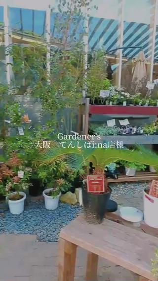 Gardener'sてんしばi:na店様にて
不定期でイベントを開催しております
お近くにお越しの際は是非お立ち寄り下さい♡ 