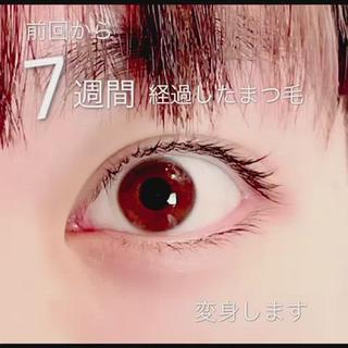 7週間経過したまつ毛に
パーマをかけ直したら
可愛ささらにアップ

---------------------------
川越時の鐘
まつ毛パーマ／アイブロウ
スプリンクルズラウンジ

駐車場完備／個室／完全予約制

下がりまつ毛、逆さまつ毛でお悩みの方
まつ毛パーマをかけたけど満足がいかなかった方
一重さん、奥二重さん
当サロンにお任せください♪

40代からのはじめてのまつ毛パーマおすすめです♪

#まつ毛パーマ#まつ毛毛周期#まつ毛に優しいパーマ#川越時の鐘#川越まつ毛パーマ 