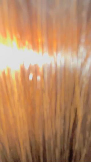 ロング カラー lafith hair goat所属・宮下 浩一のヘアスタイル