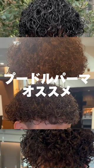 プードルパーマオススメ4選　プードルパーマ神戸
三宮プードルパーマ　神戸プードルパーマ　関西プードルパーマ 