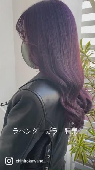 ラベンダー特集 