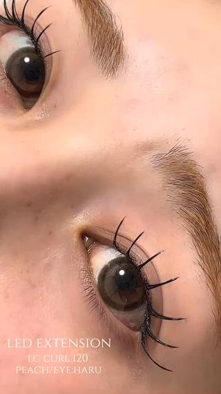 LEDマツエク 120本
大人気のLCカールで自然にぱっちりまつげ.︎︎⟡*

LEDマツエクで
高持続◎ ばらつき防止◎ 施術後洗顔、オイルクレンジング◎ 