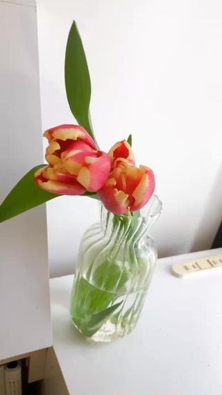 動画モデル枠￤痩身 リンパkanaeのエステ・リラクイメージ