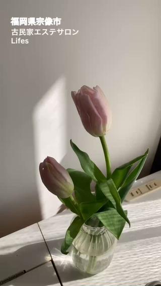 不調ケア　痩身　小顔 ダイエットkanaeのエステ・リラクイメージ