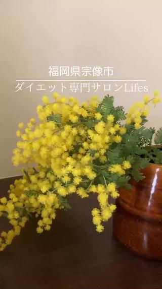 ダイエット動画モデル 小顔リンパkanaeのエステ・リラクイメージ