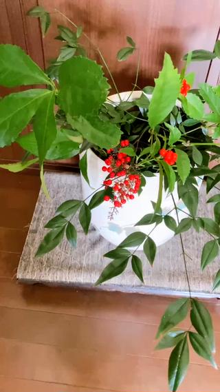 ダイエット痩身・小顔 リンパ動画モデル募集のエステ・リラクイメージ