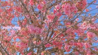 不調ケア　痩身　小顔 リンパkanaeのエステ・リラクイメージ