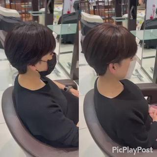 ショート 大人女性ぼかし メンズ強化🦙平作のヘアスタイル