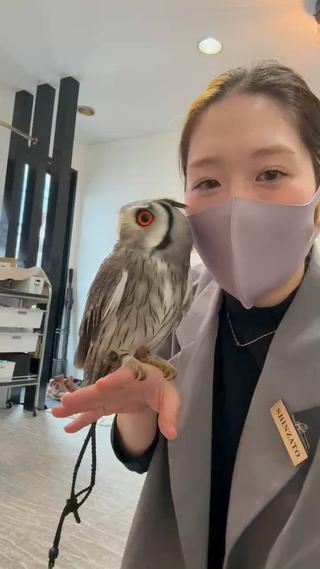 MISEREL岡崎店 Ayaのエステ・リラクイメージ