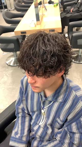 ショート カラー パーマ 福井祥太／海外風 /プードルパーマのヘアスタイル