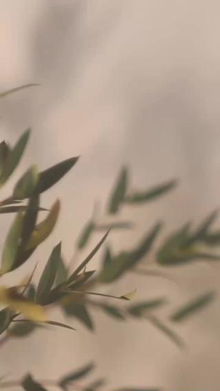 \梅雨のだるさに負けない身体作り/

この時期は湿度や気圧の変化が急におこることで
自律神経も乱れやすくなっています！

体内では
水分が蒸発しにくく
汗がうまく
かけなくなっていることが多いので体に余分な水分が溜まりむくみやすくなってしまいます！

体内に
溜まった水分は排泄してあげましょう！
よもぎ蒸しは排泄を促す
デトックス効果だけでなく
よもぎの成分を体内に取り入れ
粘膜吸収させる事で自然治癒力を高めたり
代謝を促進したりします♪

そして蒸気による
温熱やよもぎの香りで体がリラックスし
ストレスが軽減します♡
よもぎ蒸しで良い滝汗かいて
余分な毒素を排出しましょう♡ 