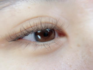 ラベンダーピンク 