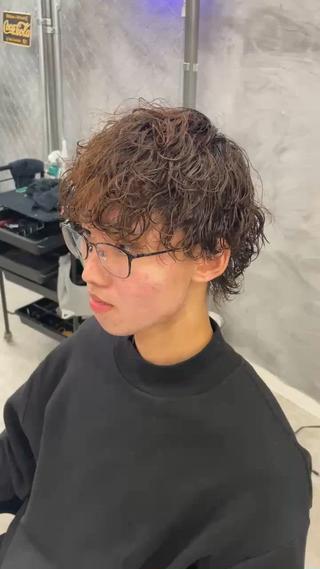 波巻きプードル 