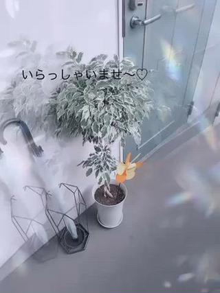 Ema所属・Ema/マツパ/マツ エク/眉/脱毛🌷のマツエク・マツパデザイン