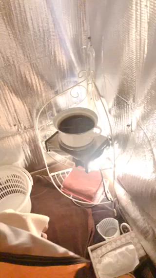 香りの家ローズマリー 🌿アロマリンパのエステ・リラクイメージ