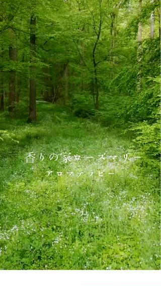 ストレス緩和にアロマテラピーを 