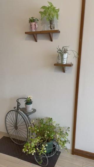 清潔感のある落ち着いた空間でお茶を召し上がっていただきます 