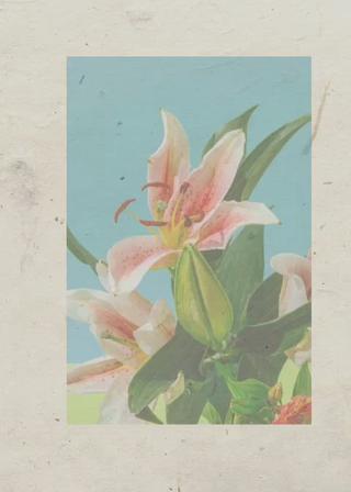 ð
ð
€ð
©ð
ð
salonã®ãšã¹ãã»ãªã©ã¯ã€ã¡ãŒãž