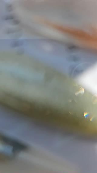 ネイル Noah'snail   のネイルデザイン