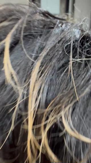 ご覧いただきありがとうございます
メンズのツーブロック刈り上げスタイルです!
後ろは自然に刈り上げる事により、清潔感のある仕上がりになります!もちろん刈り上げないスタイルも可能です
最後にアイロンでセットし、動きと遊びのあるセットに仕上げました!
メンズのカットモデル様募集中です!
お気軽にご連絡ください♪