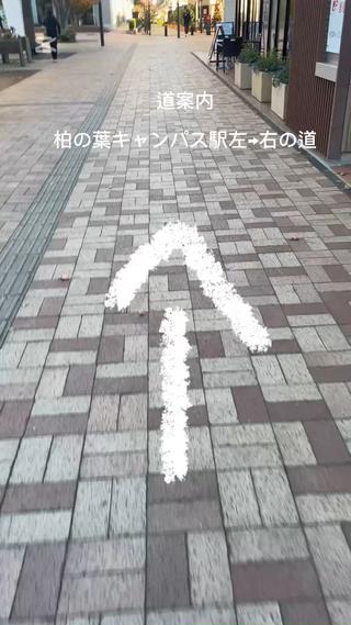 柏の葉キャンパス駅 