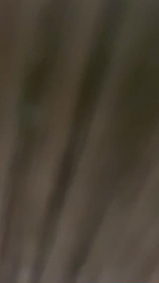 セミロング 金森 斗夢のヘアスタイル