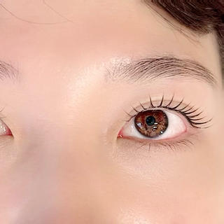 マツエク・マツパ まつ毛・眉/ 練習＆モニター専用のマツエク・マツパデザイン