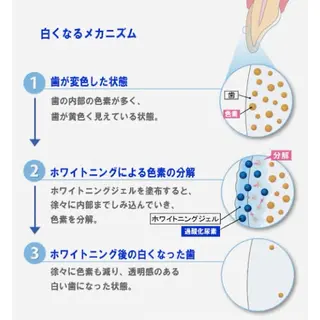 Retreatリトリート所属・歯科医院提携 Retreatのその他イメージ