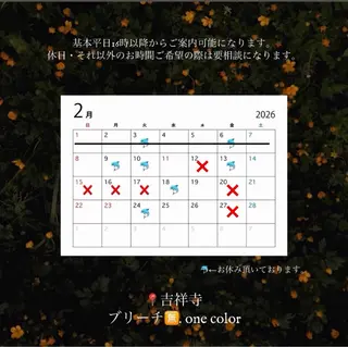 🌺トレンド暖色へア 🌺/Mayaのヘアスタイル