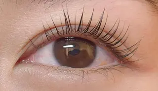 マツエク・マツパ princess 森 碧海のマツエク・マツパデザイン