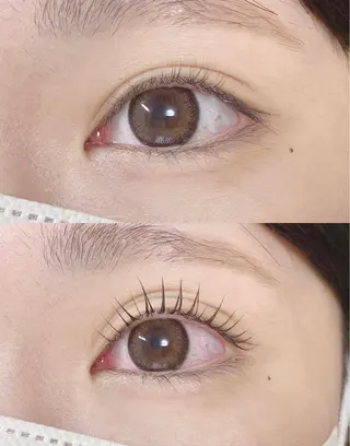 マツエク・マツパ 【那覇/束感まつ毛】 ｷｬﾒﾙのマツエク・マツパデザイン