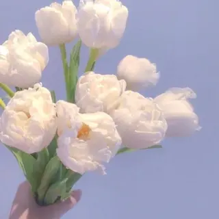 マツエク・マツパ ance 仙台のマツエク・マツパデザイン