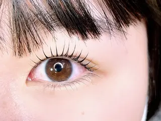 マツエク・マツパ 新小岩　Salon de SUMUU.所属・SUMUU.新小岩店 yuzuri 🦋のマツエク・マツパデザイン