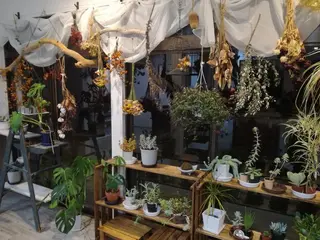 佐藤 美咲のヘアスタイル