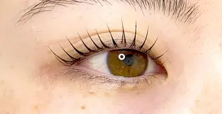 マツエク・マツパ Chisato🤍池 袋/マツパ/マツエクのマツエク・マツパデザイン