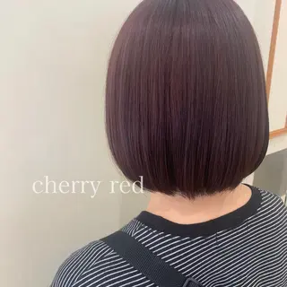 カラー ボブ/美髪矯正 /佐藤　奈巳のヘアスタイル