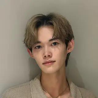 ショート カラー メンズ センターパート/毛流 れ/レイヤーのヘアスタイル