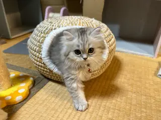 【安心ハンドテク】 メナード富田丘のエステ・リラクイメージ