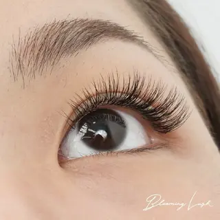 マツエク・マツパ 〖IEN〗Yuka (ユウカ/優香)のマツエク・マツパデザイン