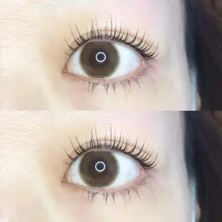 マツエク・マツパ 《eyelash ｉｉｔｅ》森のマツエク・マツパデザイン