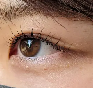 マツエク・マツパ Porte都立大学 🕊️✨のヘアスタイル