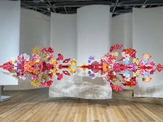 ［  ］Shiro所属・Shiro RENのヘアスタイル