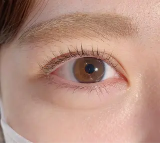 マツエク・マツパ Lucia 深野のマツエク・マツパデザイン