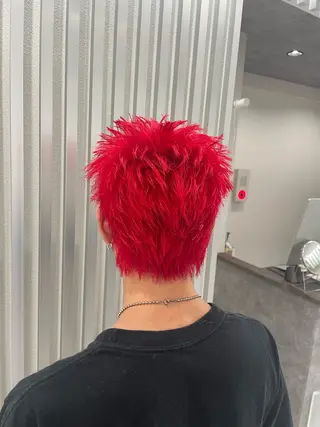 カラー 野崎 孝章のヘアスタイル